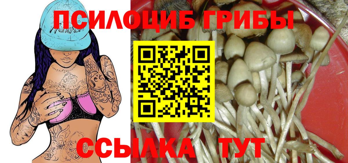 Псилоцибиновые грибы прущие грибы Хасавюрт
