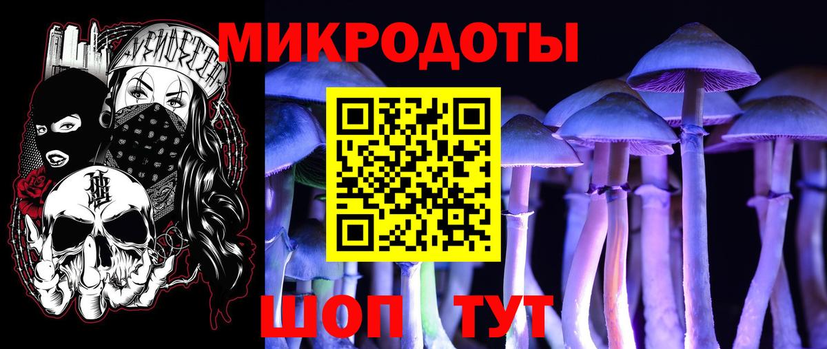 Галлюциногенные грибы GOLDEN TEACHER  магазин продажи   Хасавюрт  Галлюциногенные грибы Psilocybe  Вход с VPN 