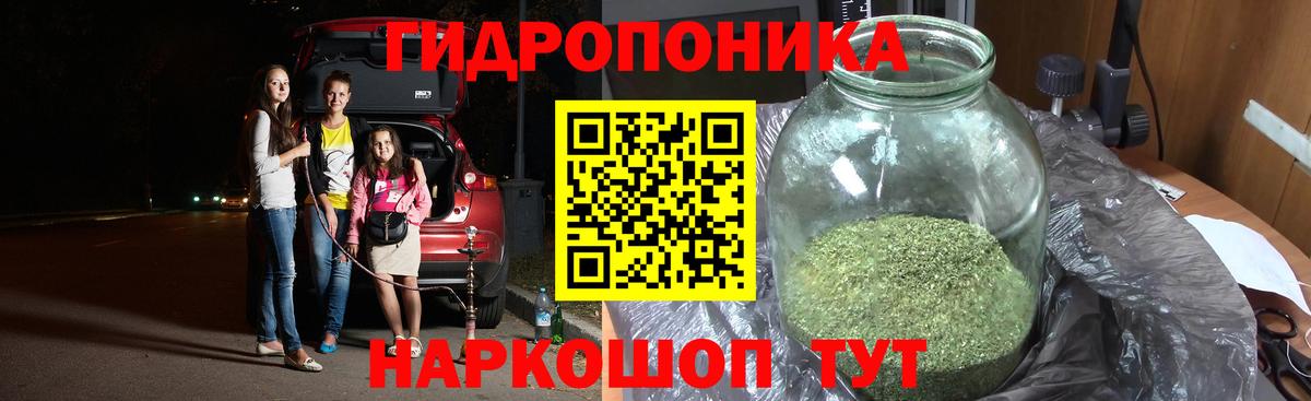 Конопля VHQ  Вход с VPN  Каннабис OG Kush  Хасавюрт 